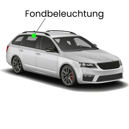 Fondbeleuchtung LED Lampe für Audi A6 C6/4F Avant