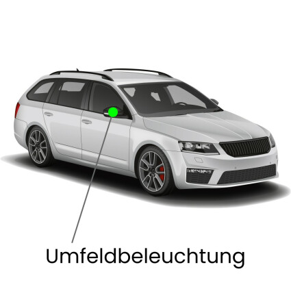 Umfeldbeleuchtung LED Lampe für Skoda Octavia 1Z Kombi