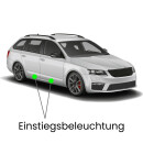 Einstiegsbeleuchtung LED Lampe für Audi A6 C7/4G Avant